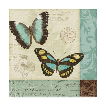 Trademark Fine Art Pela Studio 'Butterfly Patchwork Ii' Canvas Art, 18x18 WAP07675-C1818GG